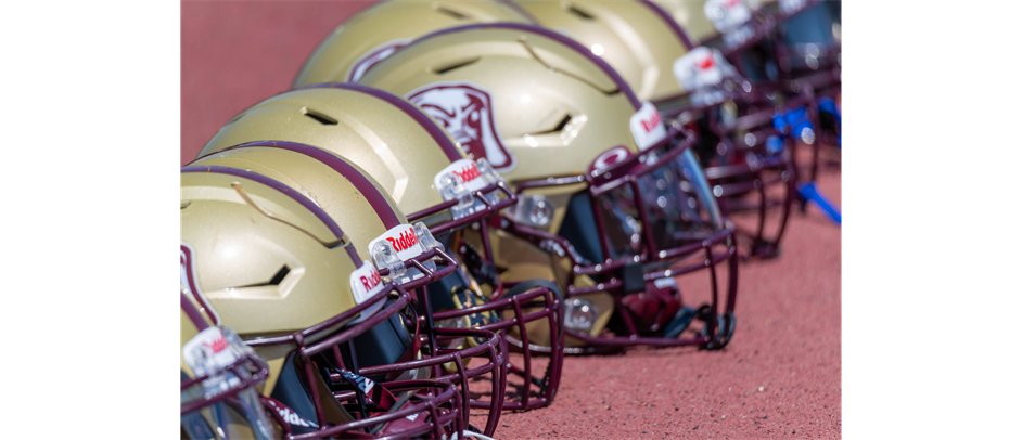 Pointer Pride (Photo by Brian Sims)